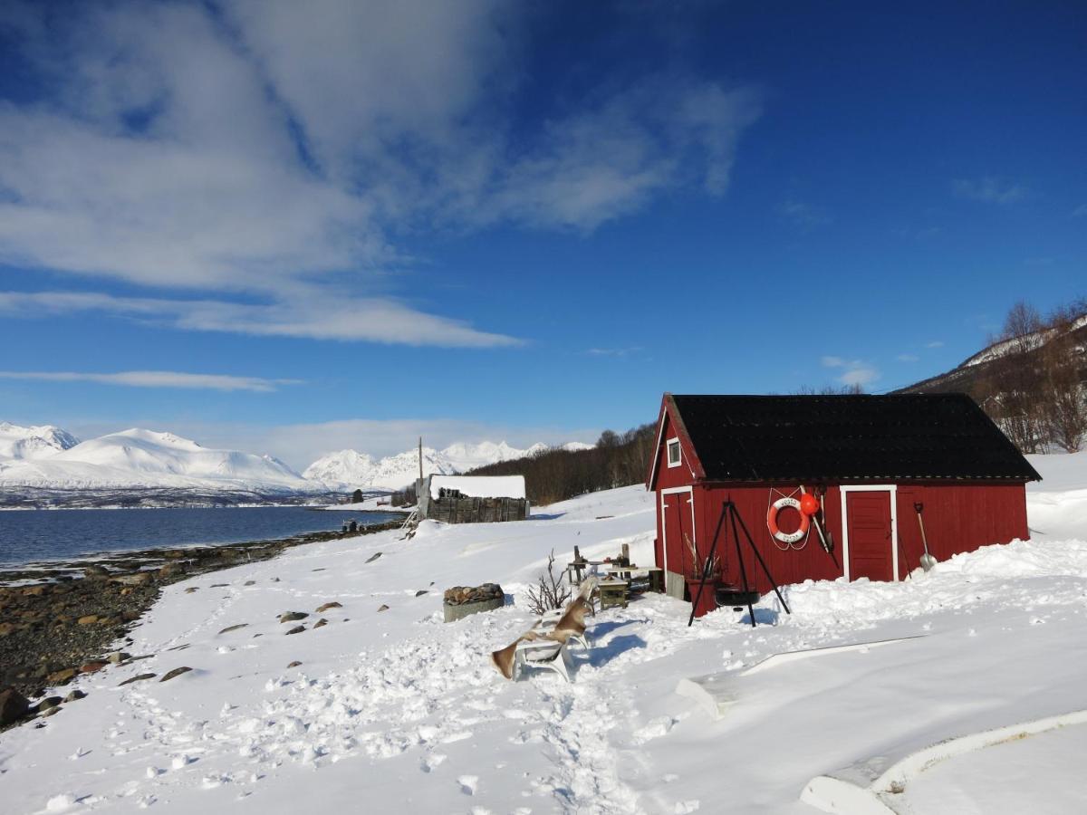 Olderdalen Ski Camp Kültér fotó