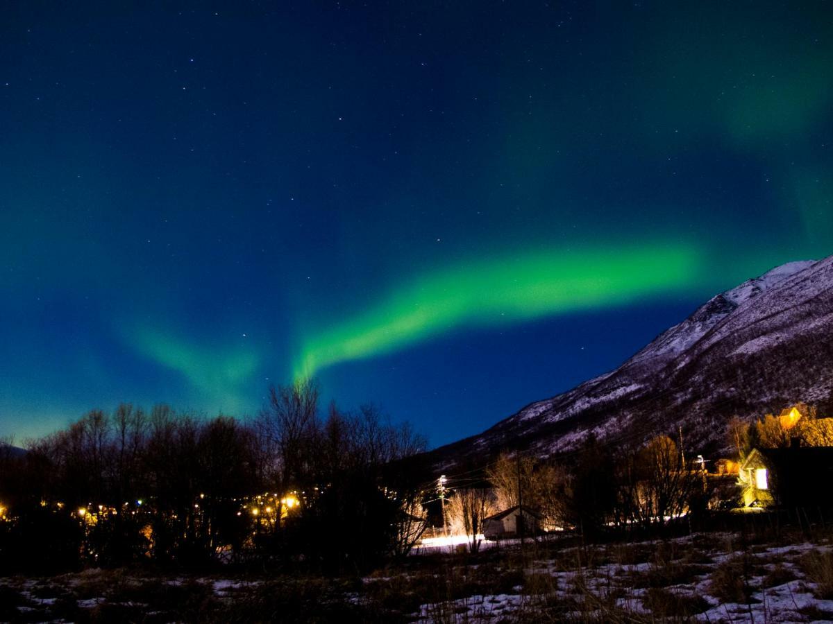 Olderdalen Ski Camp Kültér fotó