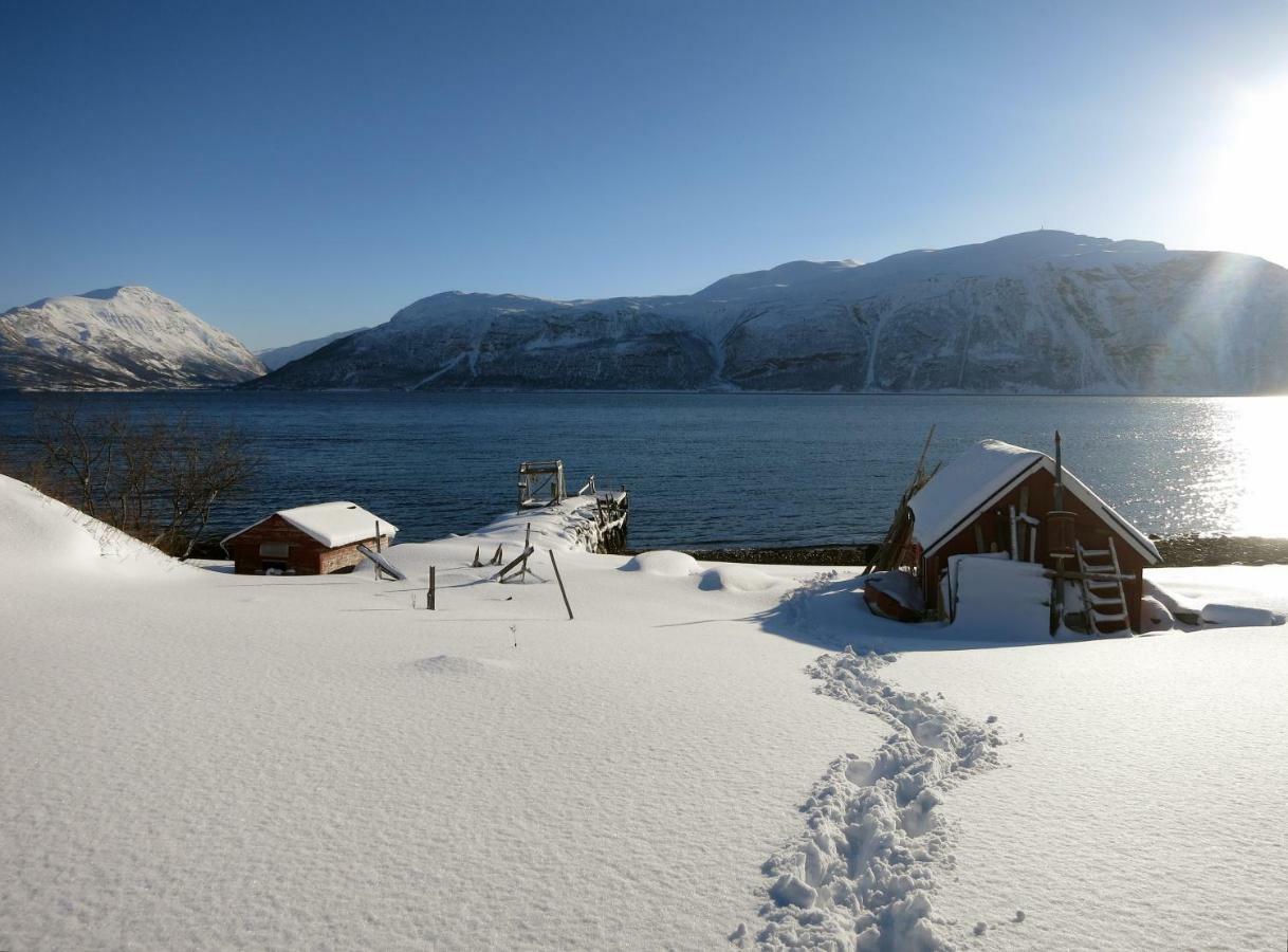 Olderdalen Ski Camp Kültér fotó